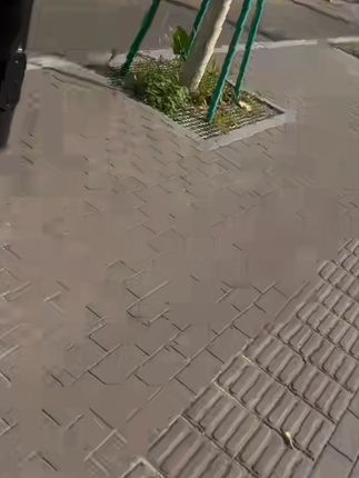 【洁尔雅】洗衣袋加厚细网菠萝印花家用衣物护洗袋内衣文胸袋洗衣服#洗衣袋#加厚洗衣袋#印花洗衣袋#家用洗衣袋#文胸洗衣袋