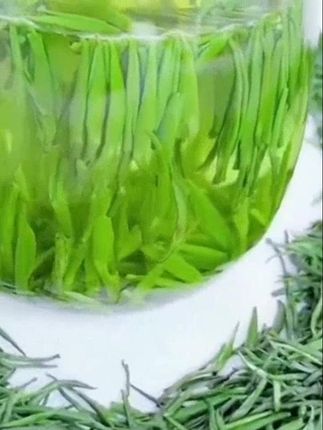 喝了忘不了的浓香,原产地直发湄潭雀舌真的很香很好喝! #茶生活# 茶 #茶叶# 今日分享 #召唤茶友 #喝了忘不了的浓香原产地直