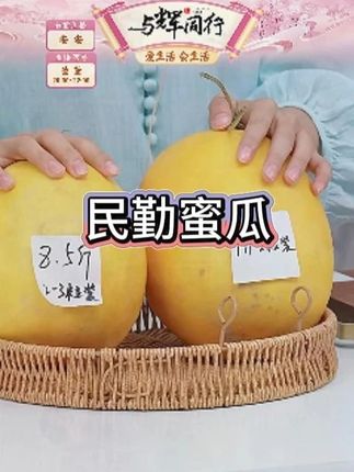 甘肃民勤沙漠蜜瓜金红宝甜瓜新鲜水果产地直发整箱包邮8/10斤#民勤蜜瓜 #沙漠蜜瓜 #新鲜水果 #产地直发 #香甜可口