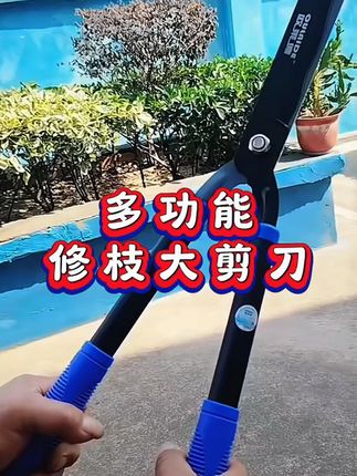 欧莱德多功能园林园艺修枝大剪刀,Sk5合金刚材质,坚韧锋利,用来修剪树枝,草坪,修剪篱笆都可以,又快又省力,好用 #园林剪刀 #大剪刀 #园林修枝大剪刀 #实用工具