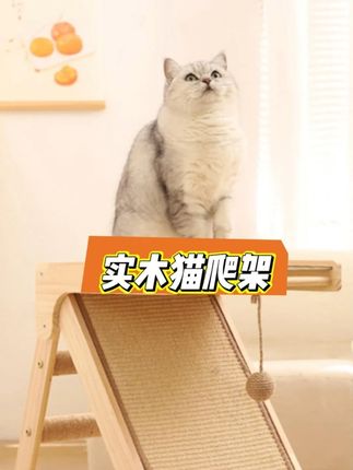#猫玩具 #猫窝 #萌宠好物 #猫抓板 #猫爬架