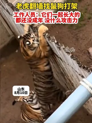 小爱米家电动晾衣架 小爱米家电动晾衣架,语音控制,可升可降。#电动晾衣架 #智能晾衣架 #智能家居 #晾衣架 #晾衣服
