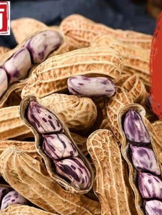 【云南七彩花生新品】野地咸干带壳450g水煮酥脆露营野餐即食 #七彩花生 #咸香酥脆 #野地熟花生 #露营野餐 #即食小零食