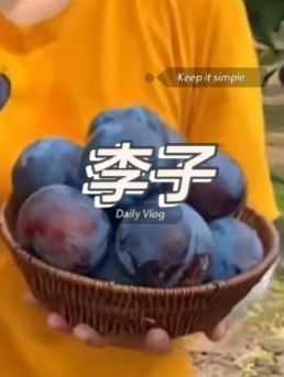 李子 #好吃到停不下来 #超便宜超划算 #李子 #李子熟了 #又到了吃李子的季节