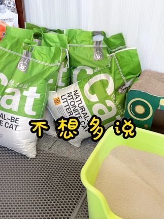 赫本的猫小米砂!不想多说!! #赫本的猫宠物用品店 #新手养猫