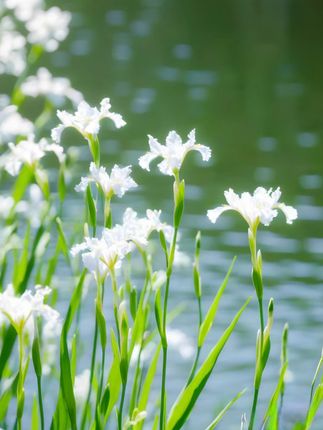 现在织 不到冬天就能盖上啦~毛毯盖在身上暖乎乎的摸着手里软绵绵的#手工diy  #毛毯  #惊喜  #降温