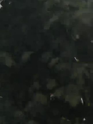 变色烤鸭挂件鸭鸭变色车载摆件烧鸭摆件车载挂件汽车钥匙扣挂件#挂件 #烤鸭挂件 #变色挂件 #车载挂件 #钥匙扣挂件