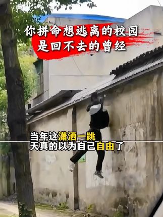 别怨读书的苦,那是你去看世界的路,让孩子尽早知道读书的意义#为自己读书 #亲子教育 #读者 #好书分享