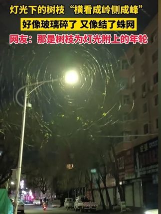 #穿搭  #显瘦穿搭  #小个子穿搭  #夏季穿搭  #裤子 ftj1