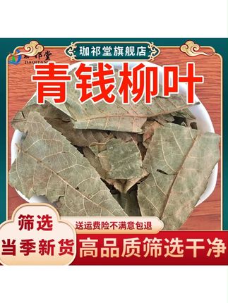 青钱柳叶新鲜干货青钱柳叶子摇钱树叶子青钱李叶#青钱柳叶新鲜 #青钱柳茶 #养生茶 #山货