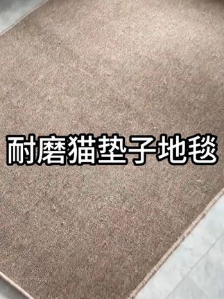 既是地毯又是猫抓板,铺上它我家猫不挠沙发了 #萌宠好物  #新手养猫  #剑麻猫抓板  #养猫人