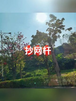 升级加粗钓鱼碳素抄网杆鱼杆抄网杆捞网炮台伸缩#抄网杆 #鱼杆 #钓鱼用品 #渔具 #渔具用品