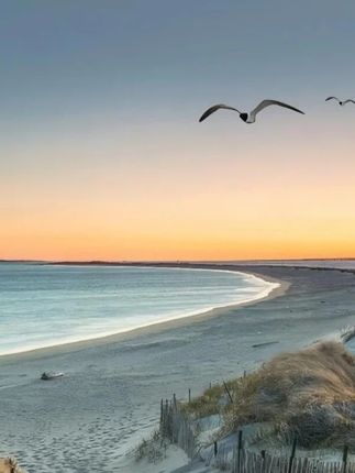 儿童可伸缩触屏笔通用网课学习机触控笔小课屏适用学而思希沃指读