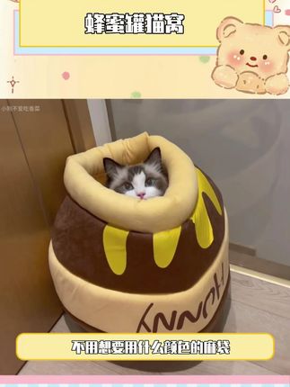 谁能拒绝一个泡在蜂蜜罐里 香香甜甜的小猫咪呢#萌宠好物 #养猫人 #新手养猫 #猫咪玩具 #猫窝