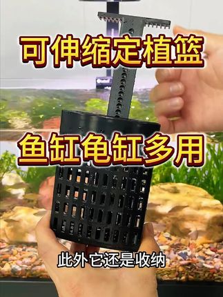 鱼缸水培篮定植篮水质净化家居绿化水培鱼缸装饰造景鱼缸水培挂篮#鱼缸水培篮 #水质净化 #家居绿化 #鱼缸装饰 #水培挂篮