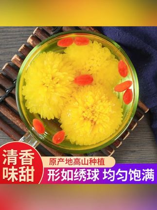 郝劭文推荐 新花头茬徽州皇菊 乒乓球菊徽州皇菊菊花茶婺源皇菊 #皇菊 #徽州皇菊 #菊花茶 #花茶 #郝劭文推荐