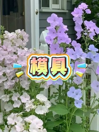 #模具 #蛋糕模具 #蛋糕制作 #模具制造 #模具设计