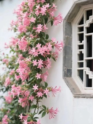 秋冬一条小黑裙见不同人的穿搭#爱了爱了