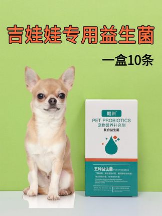 吉娃娃犬用益生菌 一盒10小条,调节菌群,补充益生菌#吉娃娃 #狗狗益生菌 #宠物益生菌 #狗狗拉稀 #狗狗