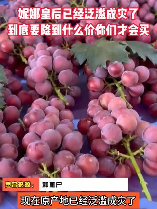 谁还没尝过妮娜皇后?快去试! 紫黑的葡萄超诱人,剥壳后果肉很鲜嫩。入口清甜带着淡淡香气,汁水顺着嘴角流,口感清爽,吃着超舒服~#妮娜皇后必吃 #水果打卡 #好吃的葡萄 #妮娜皇后