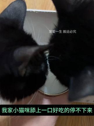 #俘获W6猫咪零食 #羊奶肉粒杯 #猫湿粮主食 #成猫幼猫补充营养 #猫罐头优质