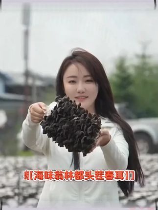海味翁林都头茬春耳东北木耳干货伊春特产高泡发 400g/罐天然晾晒