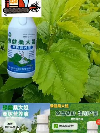 【绿健桑大姐】桑树营养液250mL 【绿健桑大姐】桑树营养液250mL