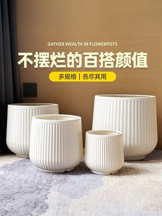 家里摆一盆,好运自然来!聚宝树脂花盆,养花更“养运” 2025年就靠它了!#好物推荐🔥 #居家好物 #花盆 #高级感 #室内盆栽推荐