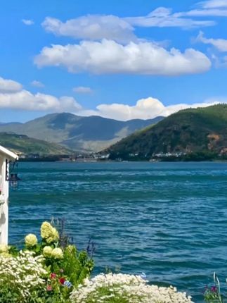 #水稻种植  #抖音助农扶农  #病虫害防治  #水稻虫害防治  #杀虫剂