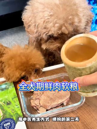 颠覆传统干粮,让挑食犬也能顿顿光盘。#狗粮推荐  #养狗经验分享  #科学养宠攻略  #狗狗挑食