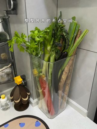用这个收纳桶,把山药莴笋大葱等等收纳起来,不会弄的满地泥巴, 用这个收纳桶,把山药莴笋大葱等等收纳起来,不会弄的满地泥巴,干净整洁还省空间#厨房好物 #蔬菜收纳篮 #蔬菜置物架 #厨房实用工具 #厨房收纳神器