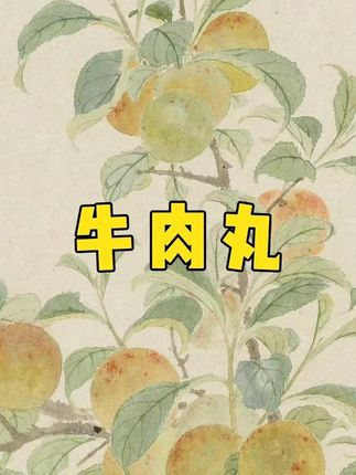 清货捡漏!日期新鲜,炒菜,煲汤,配面条都巨好吃,自律期姐妹赶紧薅#潮汕牛肉丸 #低卡低脂餐