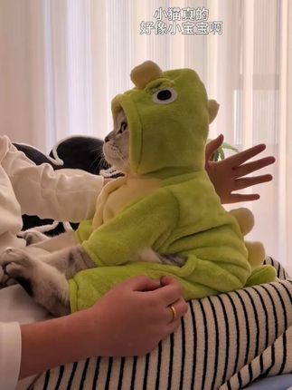 猫真的好像小宝宝呀#打火机哈基米  #小恐龙衣服 Q