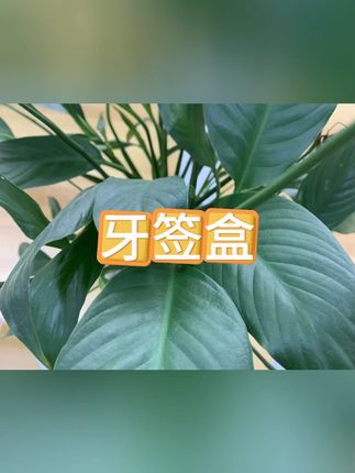 牙签盒 #卡通牙签盒 #家居牙签盒 #创意牙签盒 #桌面神器 #牙签盒