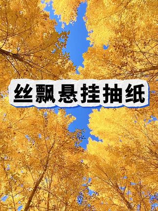 大包的丝飘悬挂抽纸到手6提你看看才啥价!真是太划算了!#丝飘纸巾 #悬挂抽纸 #生活用纸 #超便宜超划算