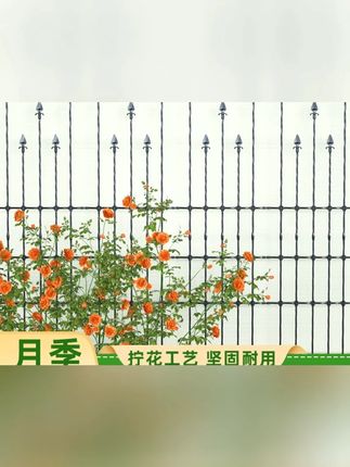 #户外爬藤架 #月季爬藤架 #蔷薇花架 #阳台花架 #铁线莲架 月季栅栏花架爬藤架户外围栏蔷薇阳台架子花墙藤架铁线莲架花支架