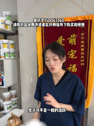 每个月一次的驱虫可千万别忘记给毛孩子做,不然麻烦可就大了 #新手养猫 #新手养宠 #新手养狗