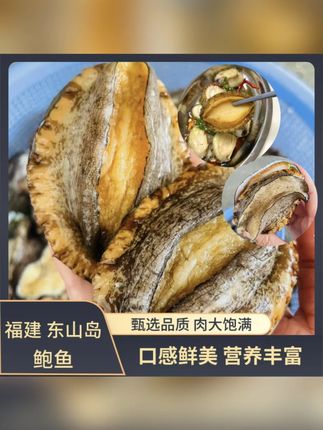 顺丰冷链大号鲍鱼肉46厘米纯肉速冻红烧炖肉生鲜海鲜水产 #好物种草