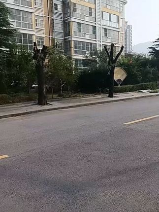 马桶盖配件固定螺栓卡扣螺丝坐便器盖板膨胀螺丝盖子零件配件#配件#马桶盖配件#固定配件#坐便器配件#螺丝配件