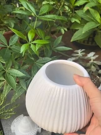 锥形花盆垫片滤水透气防止烂根垫片底孔网垫多肉盆栽过滤防漏土壤#锥形花盆垫片 #锥形花盆底孔网垫 #锥形花盆底垫 #底孔网垫 #花盆垫片