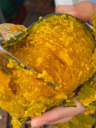 很多老客户吃过咱家的贝贝南瓜后其他家的都吃不下了! #南瓜#贝贝南瓜#正宗贝贝南瓜#贝贝南瓜粉糯香甜#正宗贝贝南瓜粉糯香甜