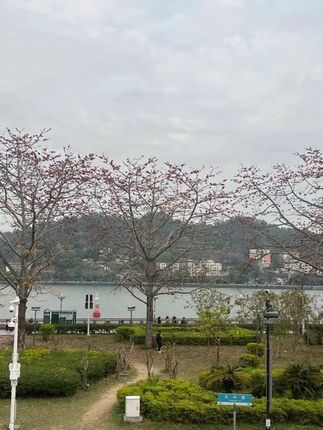 木森推荐防水棉拖鞋男款2025新款家居防滑毛绒保暖外穿厚底包根棉鞋女 #拖鞋 #棉拖鞋 #防水棉拖鞋 #木森推荐 #木森大舞台