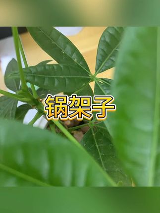 隔热架 #厨房用品 #厨房收纳 #置物架 #隔热架 #厨具