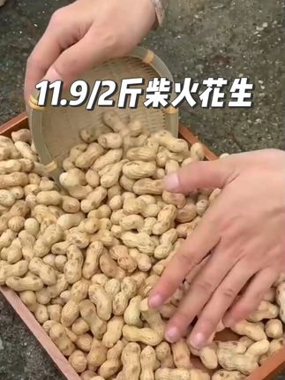 2025新花生,每天新鲜现炒现发,11块9到手2斤柴火花生 #花生 #柴火花生 @DOU+小助手