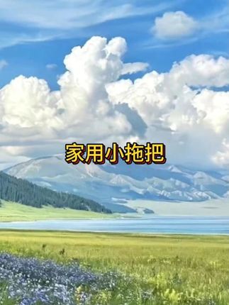 自从有了它,清洁家务变得更轻松啦,#生活日用小神器 #懒人拖把 #居家好物 #男士神仙单品 #在抖音入手的好东西 #无限回购的宝藏单品