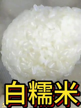 贵州梯田圆糯米#白糯米年农家糯米# 成熟营养香甜软糯#