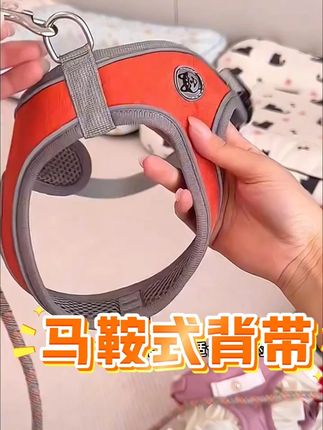 #马鞍式胸背带 #舒适透气 #养宠神器 #科学养宠攻略 #创作灵感