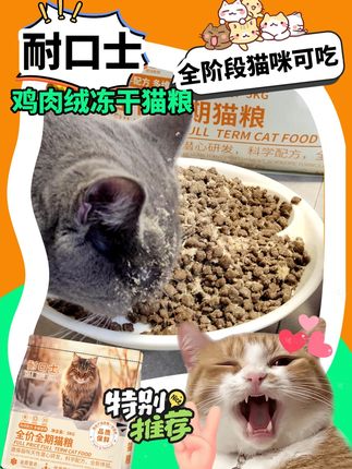 我也不想买!可是真的很划算!赶紧给毛孩子安排一包!#猫粮推荐 #吃货猫 #多猫家庭 #养猫日常 #萌宠好物