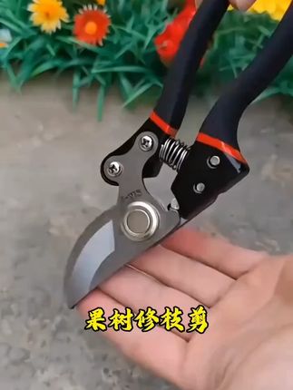 #修枝剪 #果树修枝剪 #不锈钢修枝剪