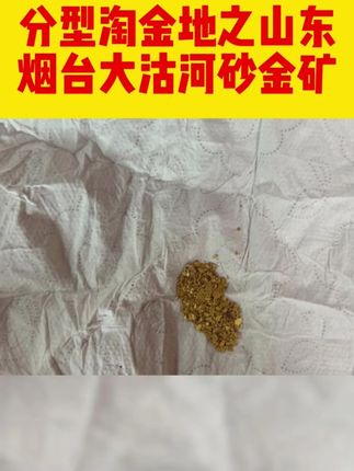 #淘金 #淘金者 #淘金谷 分享淘金地之山东烟台大沽河砂金矿@小王说淘金-直播